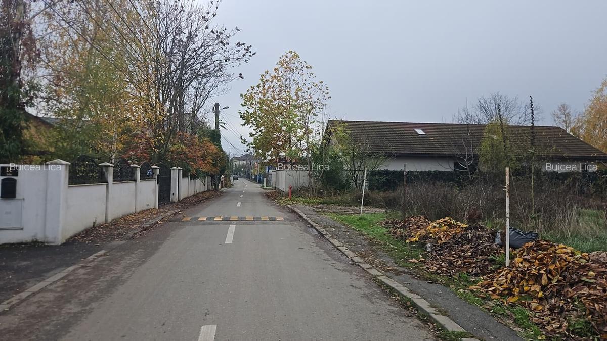 Teren intravilan de vânzare – Str. Crăițelor, Ilfov - 4