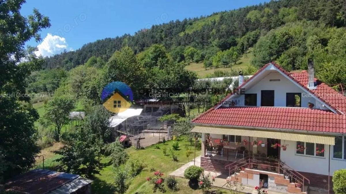 Casa + teren de vanzare - Garcina - 19