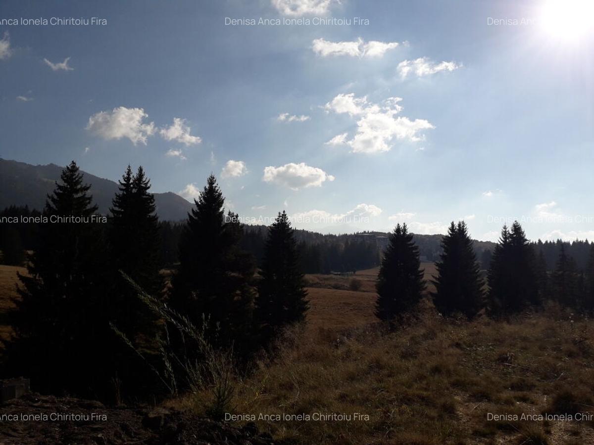 Ocazie unica la licitatie: Teren cu Potential Turistic Major in Poiana Brasov - 3