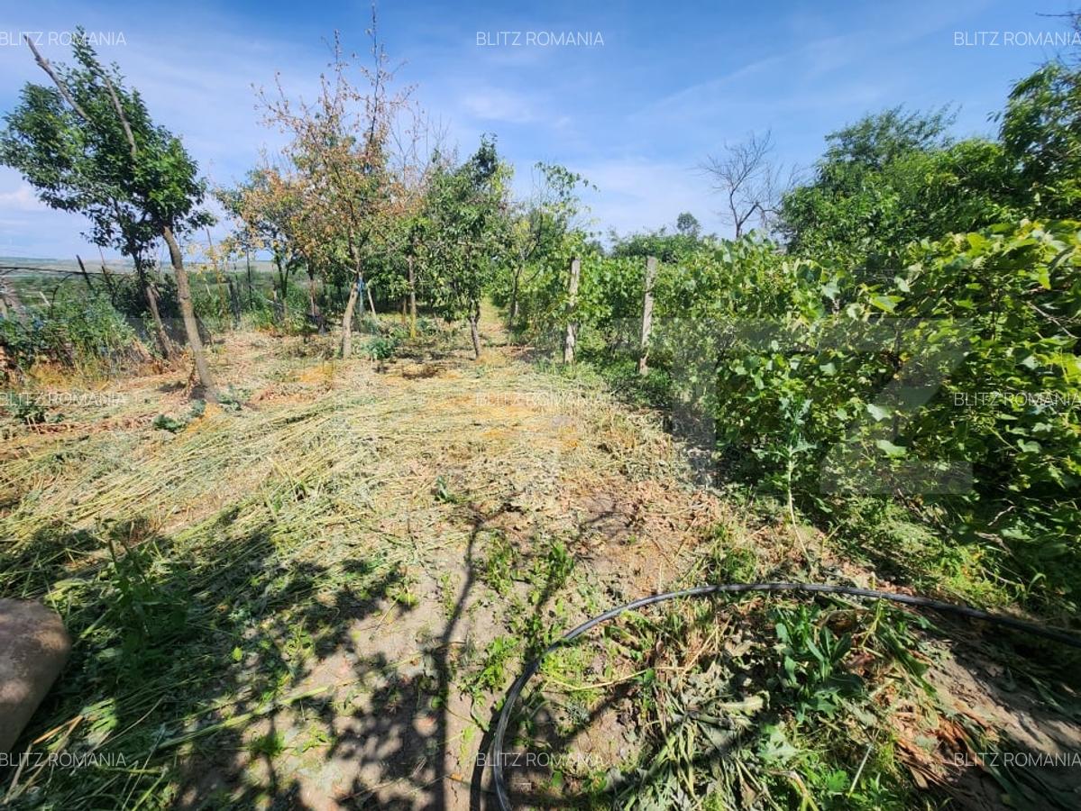 Casa individuala cu 4 camere,150 mp utili,1700 mp teren,Blaj - 14