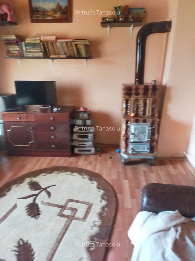 Vand casa la curte - 4