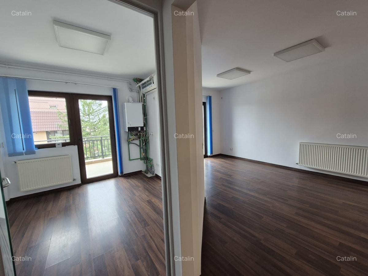 Domenii, Lainici, inchiriere spatiu birouri - 19