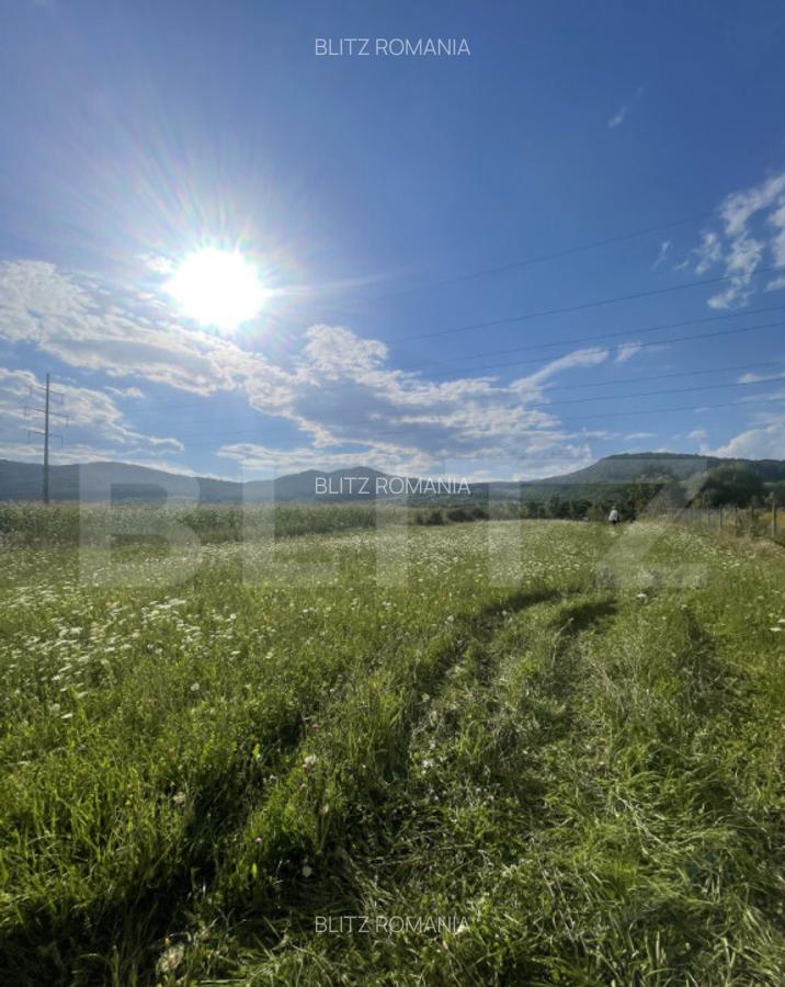 Teren intravilan Vii?oara ideal pentru casa sau invest - 1