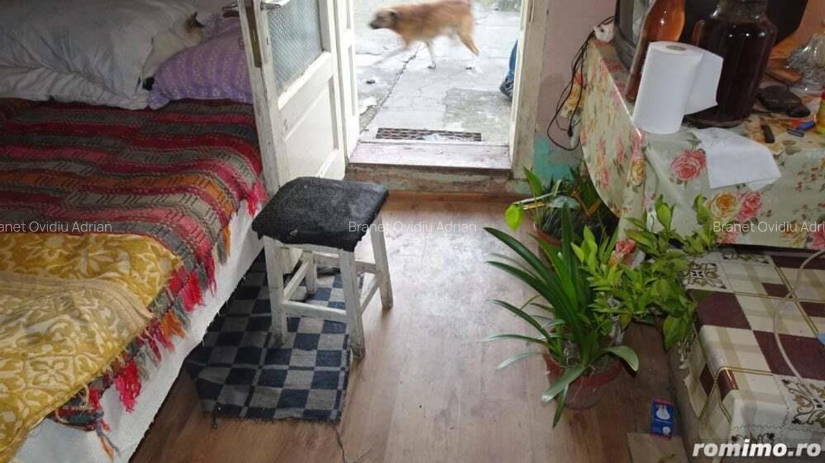 Vand casa curte si gradina in Branisca (la 15 Km de Municipiul Deva), suprafata de teren 2245 mp - 16