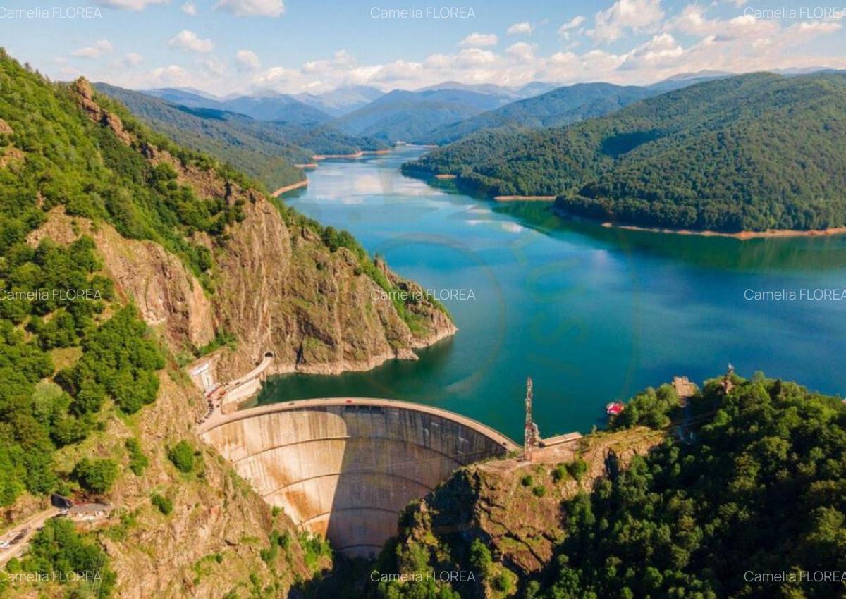 Teren 4996 mp zona de munte Comuna Arefu-Capataneni Arges - 6