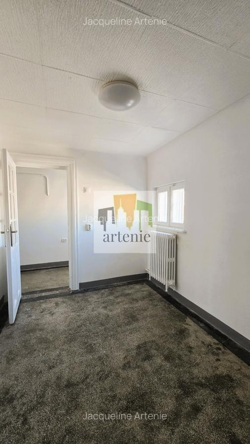 Pache Protopopescu - Plantelor apartament in vila - 9