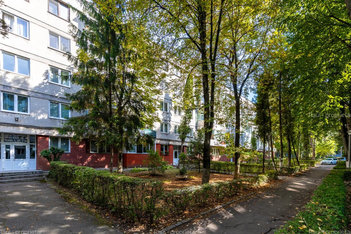 Apartament 3 camere, renovat complet, Aleea Băița - 2