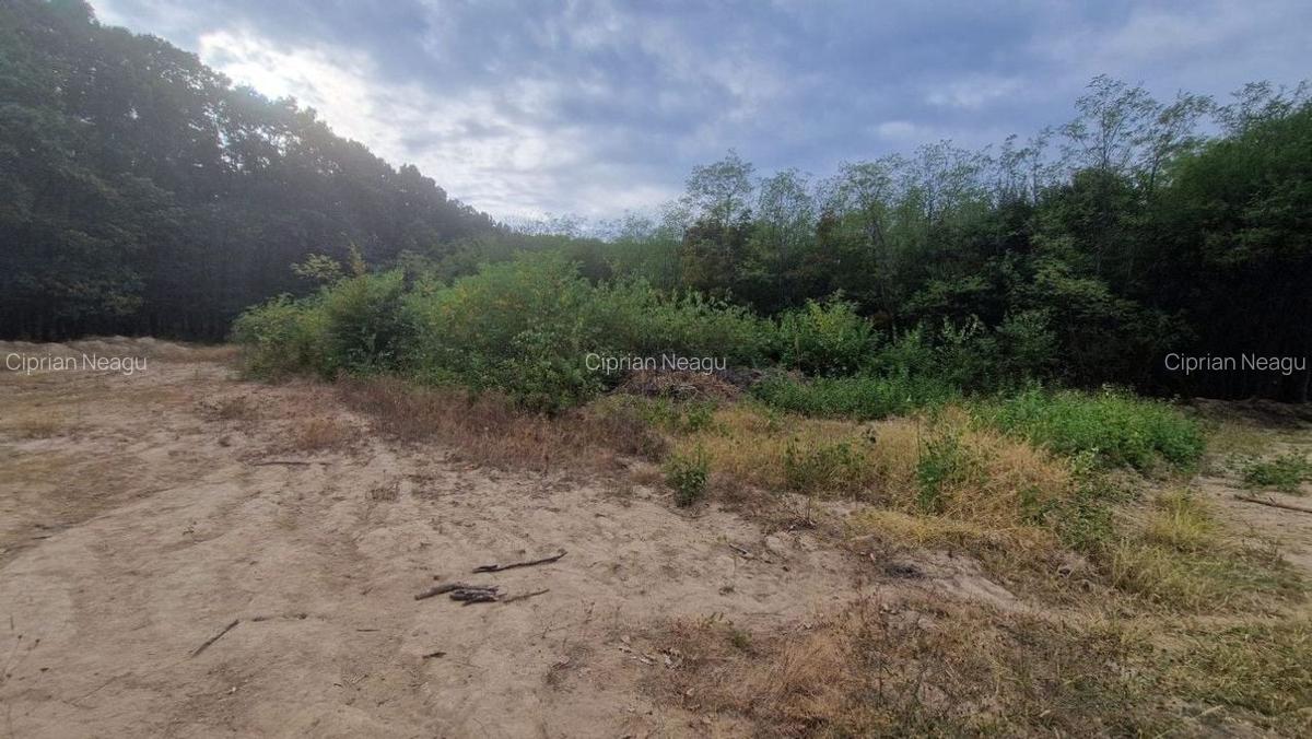 AZURA Imobiliare - Vanzare teren Hintesti, langa padure, 300m din DN - 15