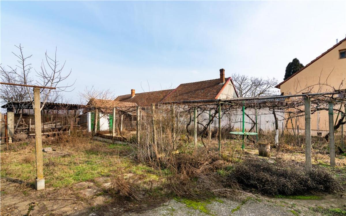 RECO Casa cu teren 3036mp, Bors - 17