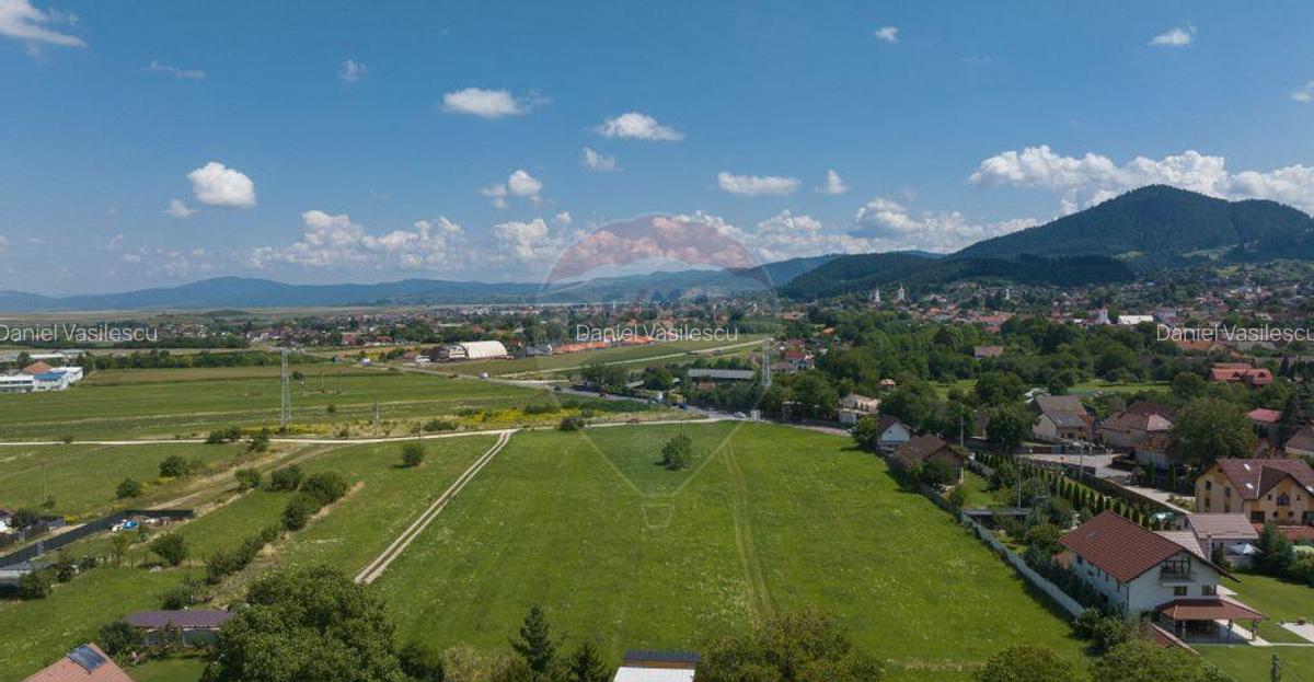 Lot de casa intrare Sacele -Strada Iernii, 514mp - 4