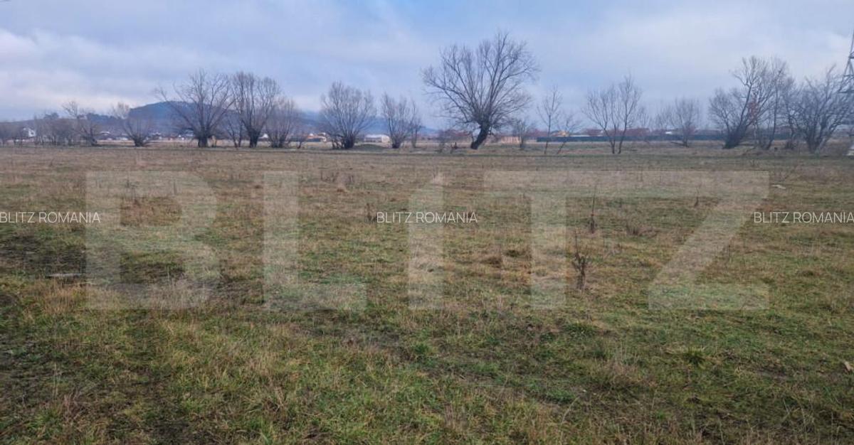 Teren intravilan Sanpetru - ideal ctie casa 500 mp - 7