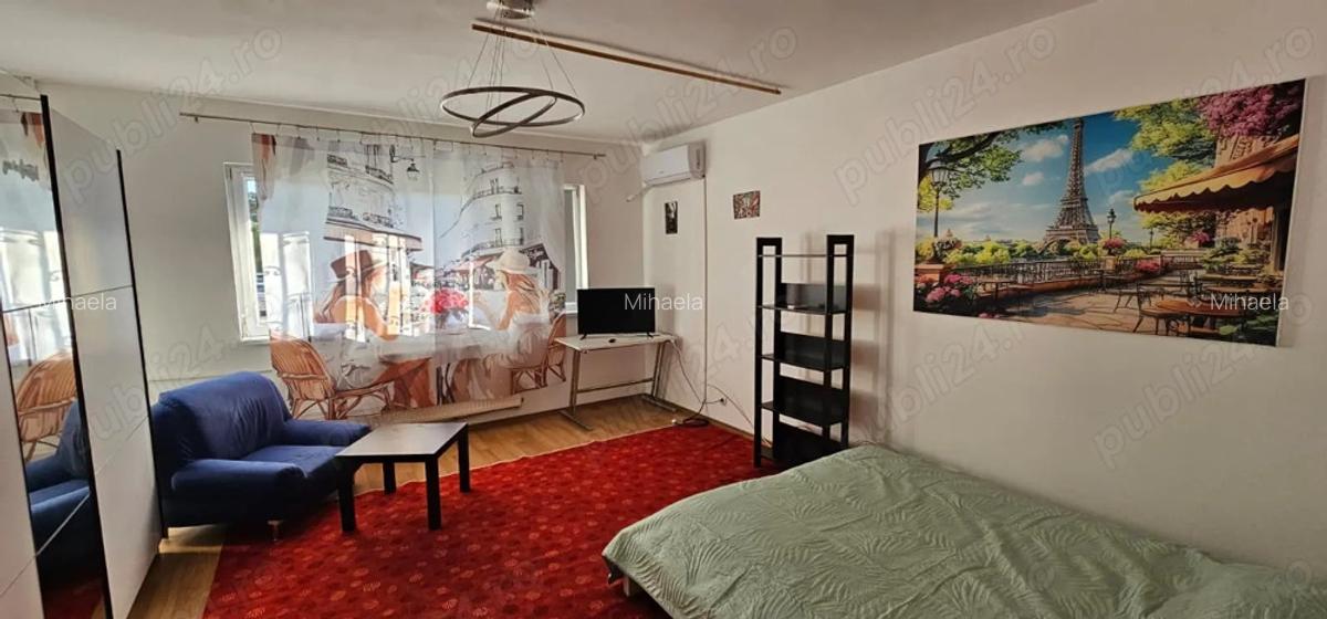 Garsoniera Dr. Taberei ANL Brancusi Dr. Doftanei - 7