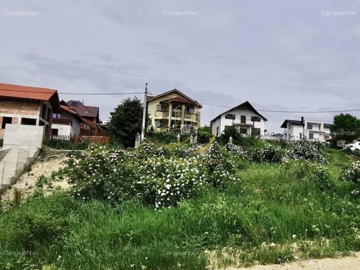 Teren de vanzare - 1