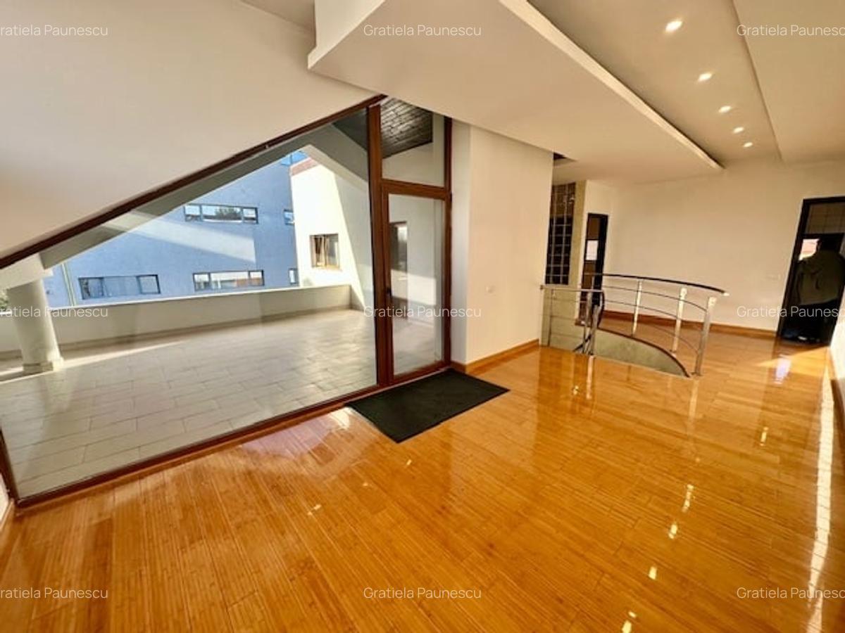 Inchiriere vila individula  8 camere/ pretabil - office, clinica, rezidential - 21