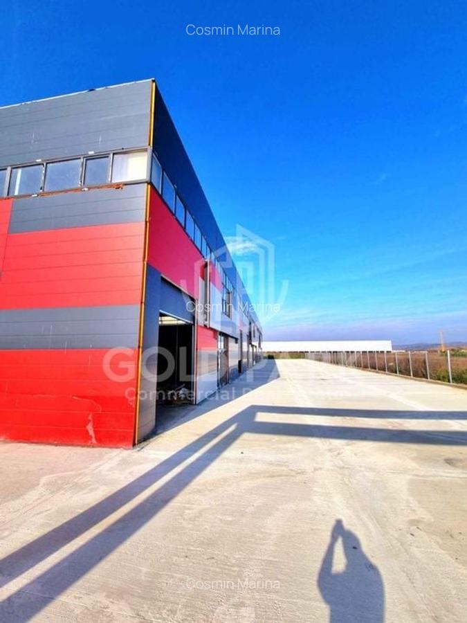 Spatiu Industrial / Hala - Zona Jucu - 3600 mp - 5000 mp Teren - 11