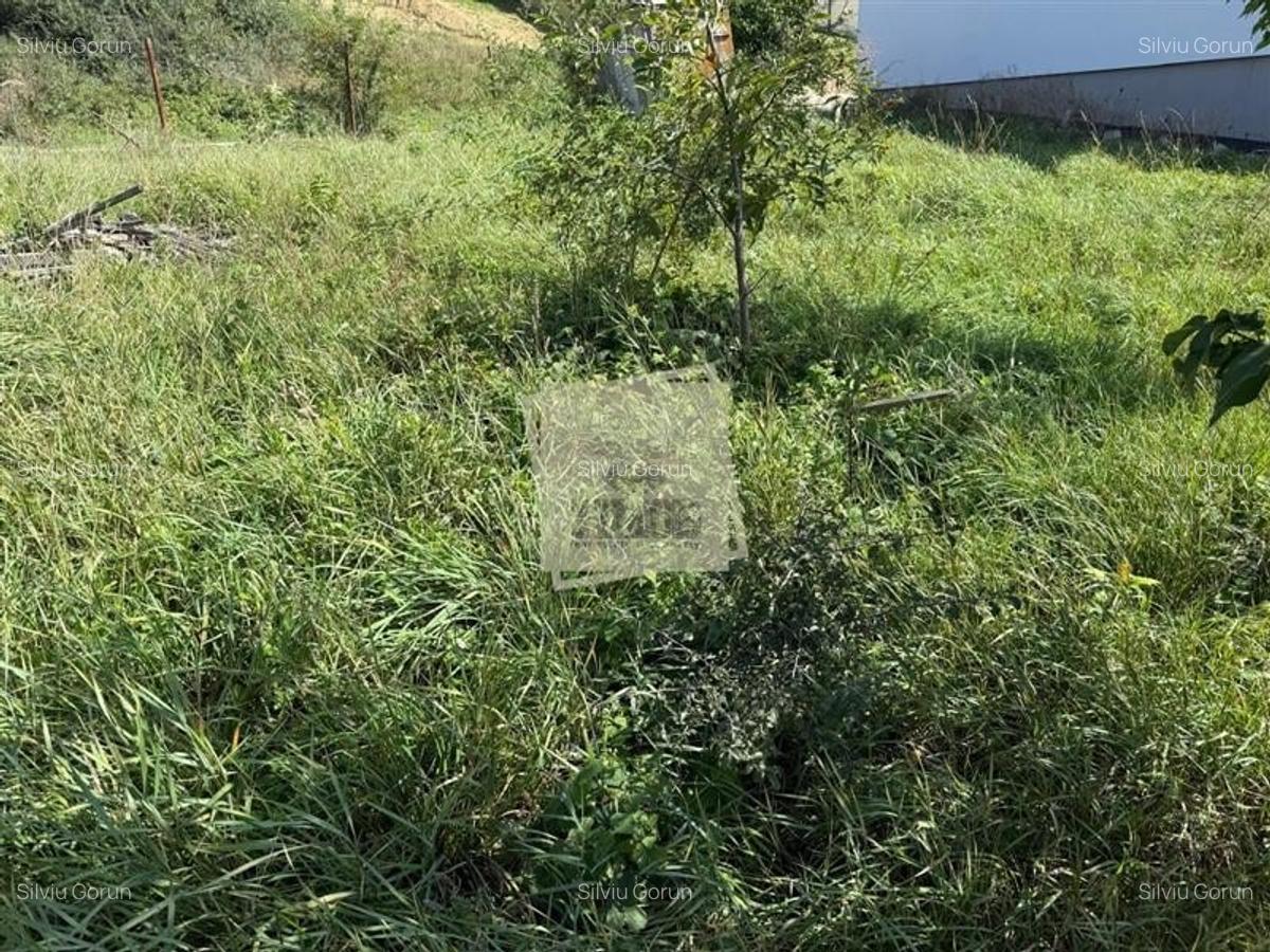 Casa individuala cu 2 camere si 495 mp teren in Sura Mare - 4