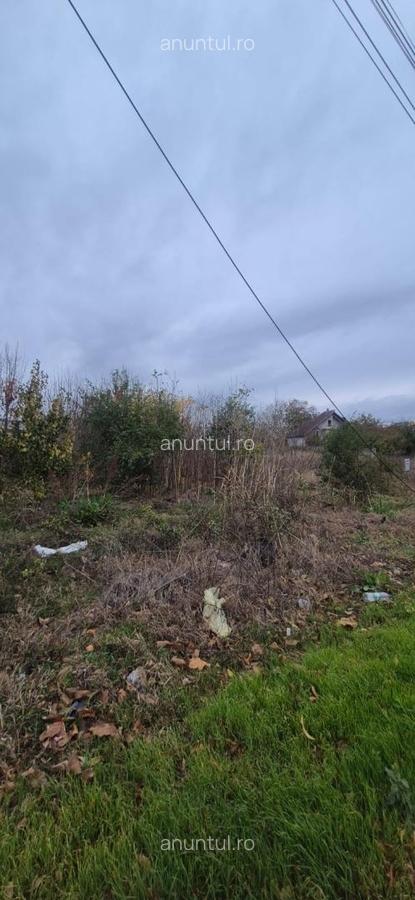 Teren intravilan 2220 mp , Soseaua Prieteniei - 4