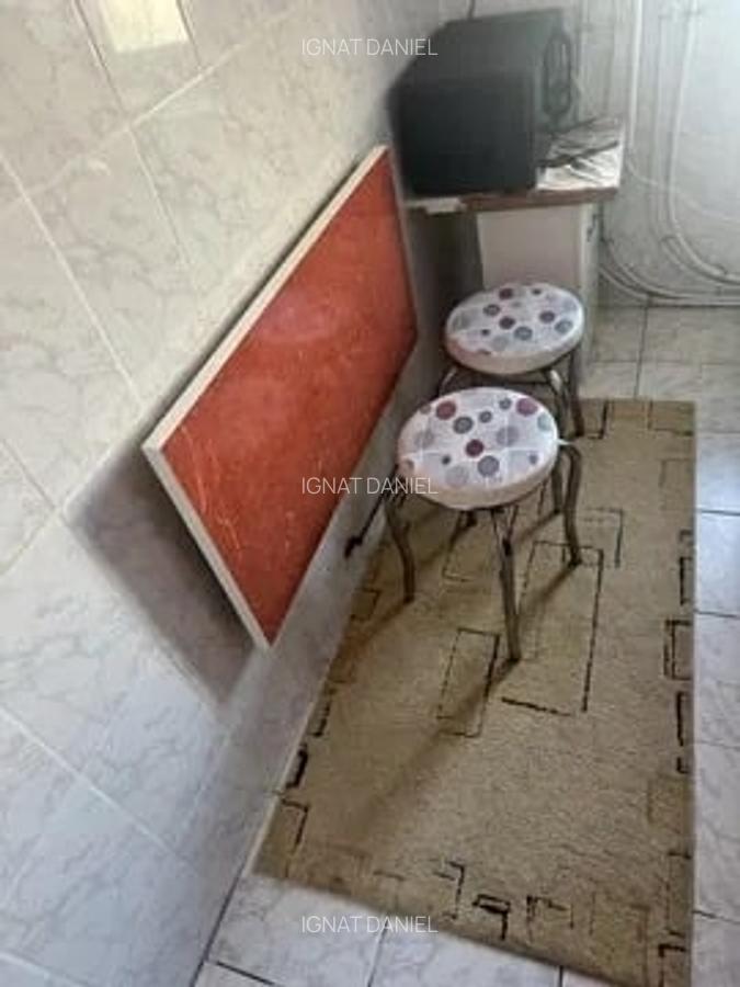 Apartament cu 1 camera, PET FRIENDLY, zona Pacurari - 3