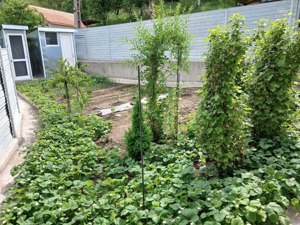 Casa de vanzare Nadastia de jos - 9