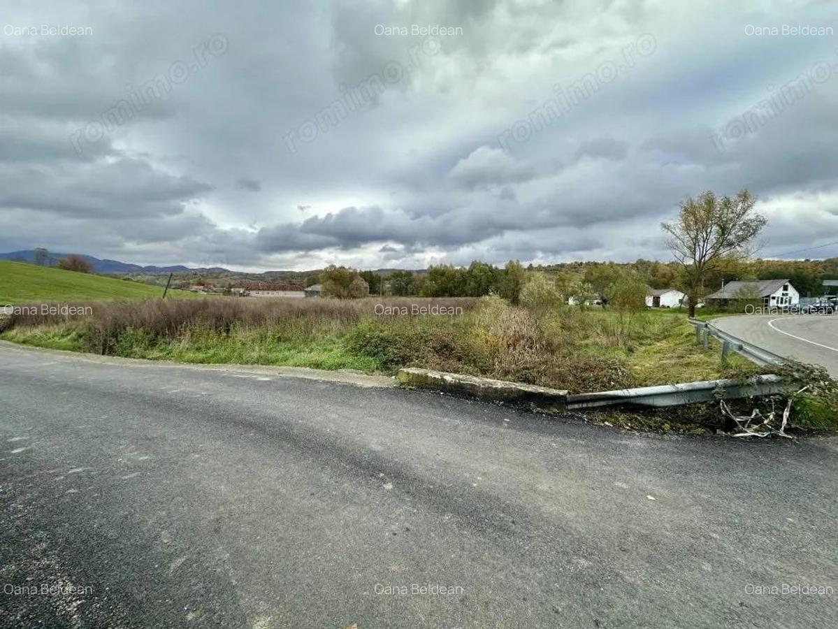 Teren intravilan 3.749 mp Beznea, com. Bratca, jud. Bihor - 3
