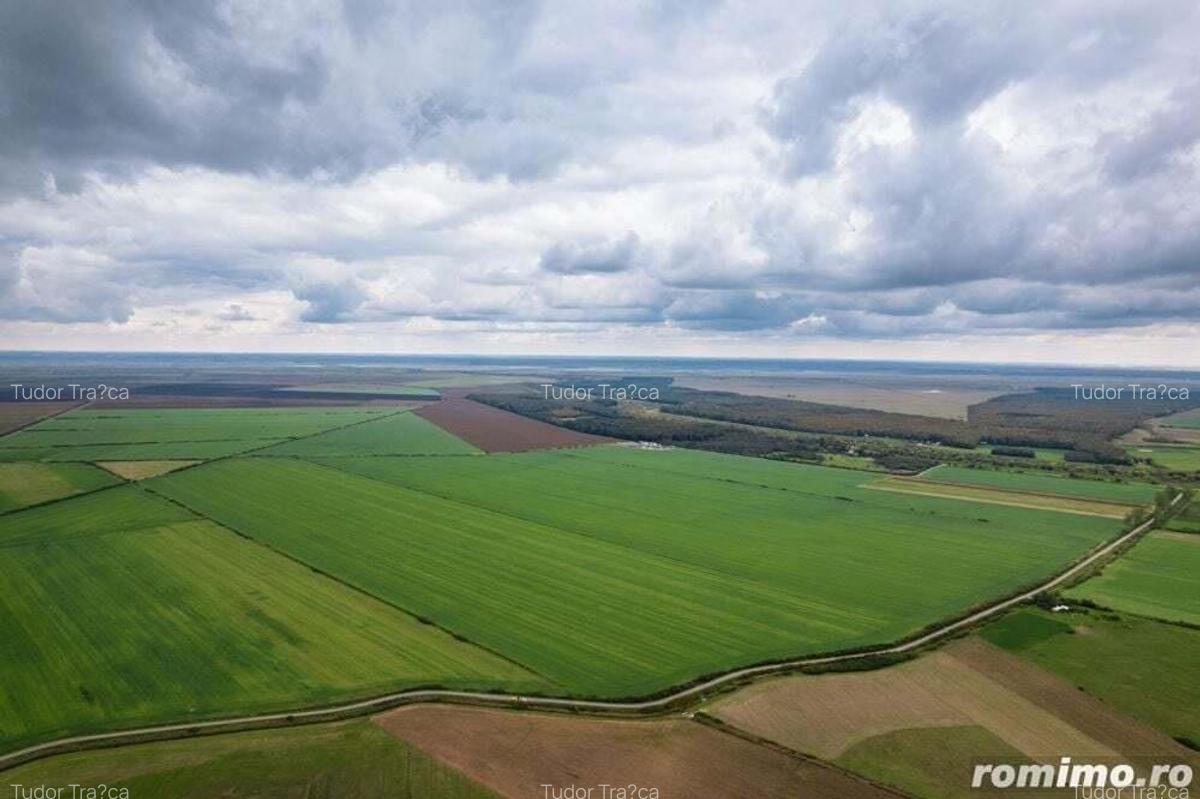 Teren arabil de 128 hectare in Cluj - 1