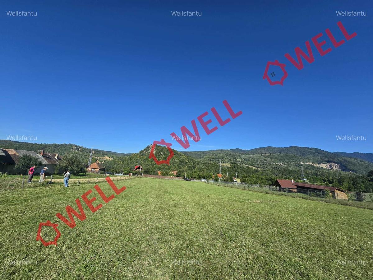 De vânzare teren de 2.782 mp în loc. Bixad - 2