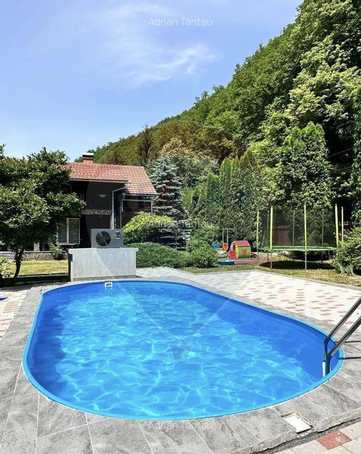 Cabana / casa de vanzare in Baisoara, 285 MP ! Piscina! C... - 2