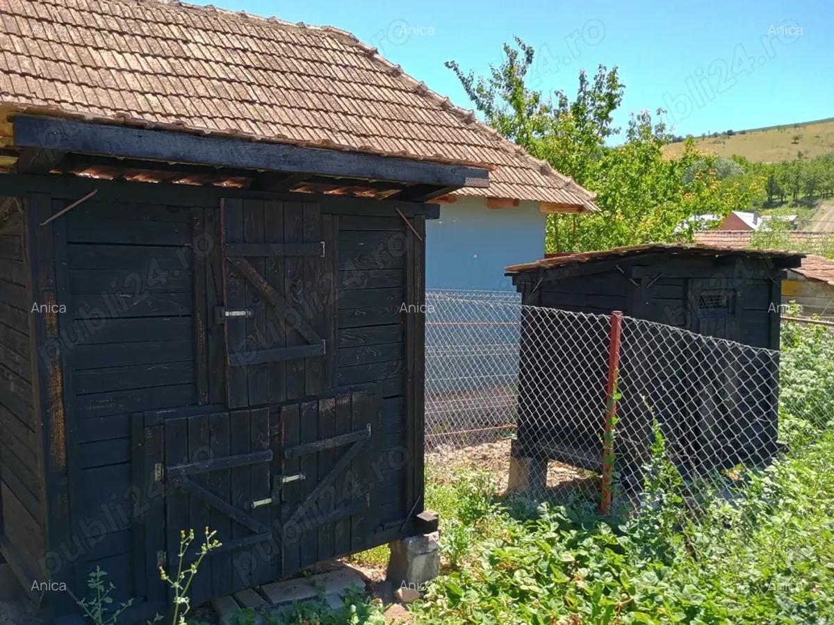Vand casa cu gradina de legume si curte in Soporu de Campie nr 97A cu CF disponibil - 6
