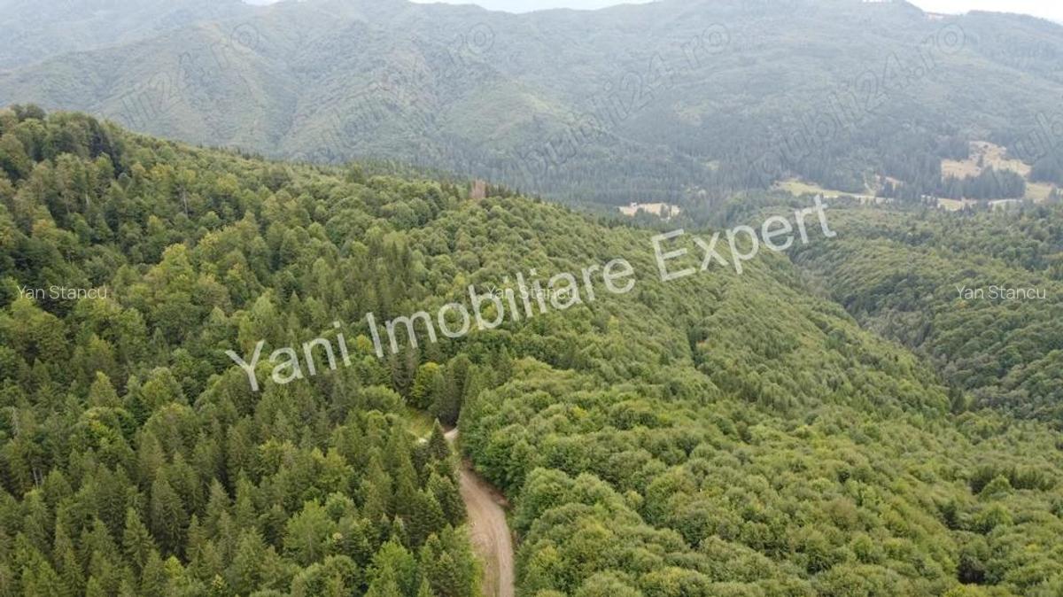 Teren de vanzare in apropiere de Transfagara?an ?i Valea Valsanului. - 9