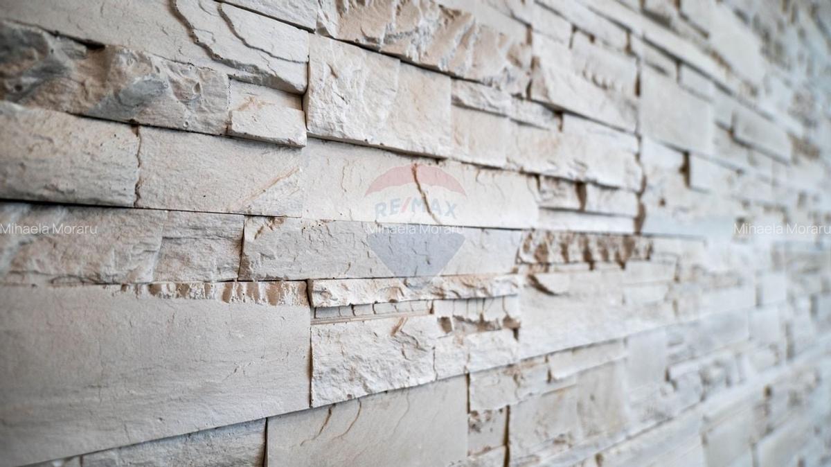 Vanzare - vila 4 camere de complet mobilata, str. Caisului - Dobroesti - 28