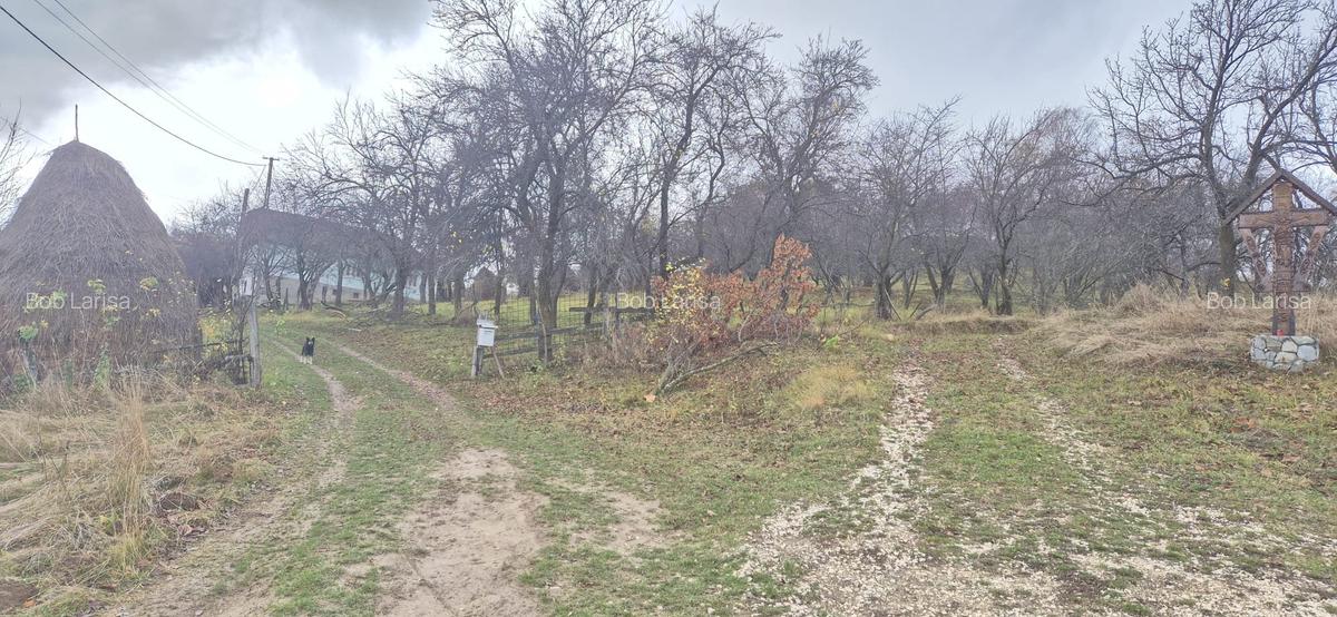 Teren intravilan Sohodol, priveliste catre Bucegi, Piatra Craiului,Magura Codlei - 4