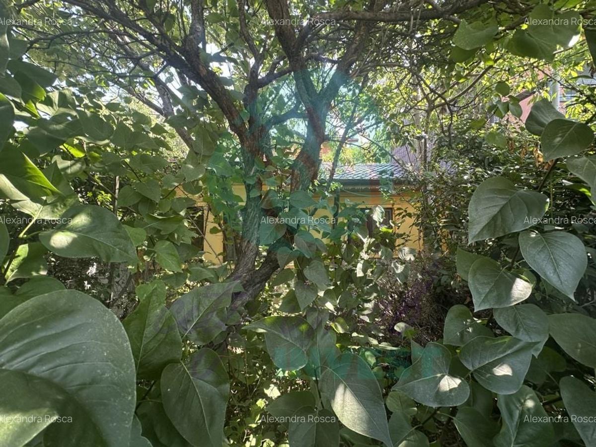 Casuta batraneasca cu teren 184 mp de inchiriat - 7 Casuta batraneasca cu teren 184 mp de inchiriat - 7