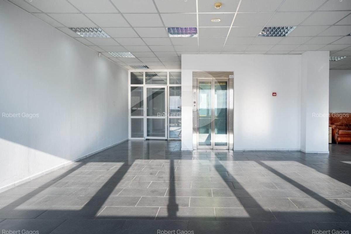 CHIAJNA-DEPOZIT LIDL, BIROURI 2300 MP SI HALA 2750 MP, TEREN 7500 MP. - 17