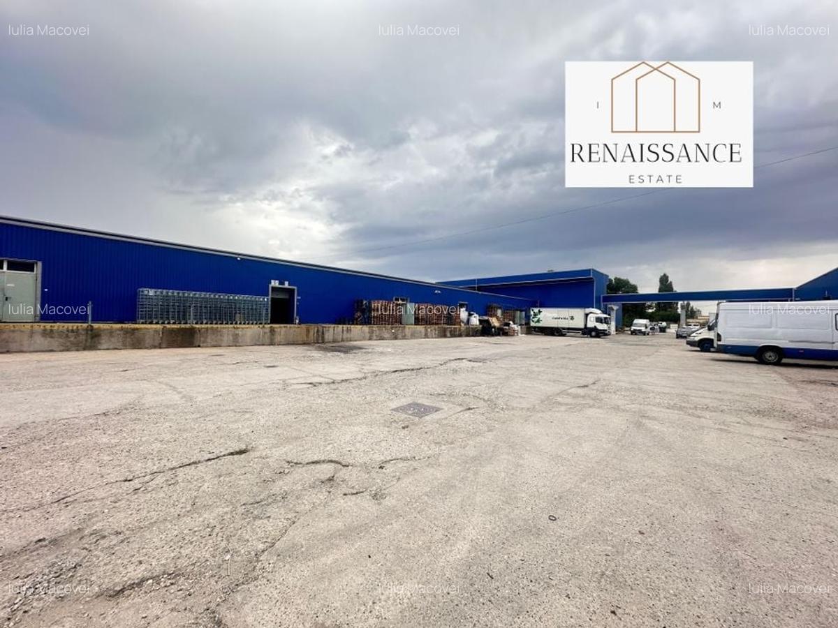 3 Hale Clasa A | 11.250mp Construiti 25.450mp Teren | Freidorf - 13