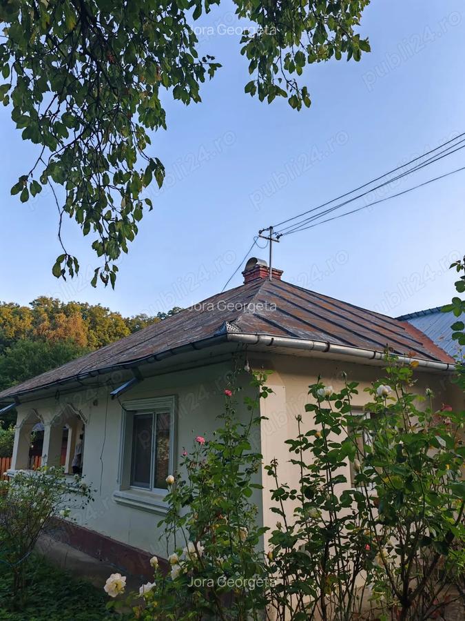 Casa cu teren ?i livada Tg Neamt - 3