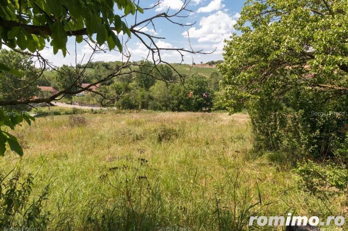 Casa in localitatea Balaia, jude?ul Bihor - 13