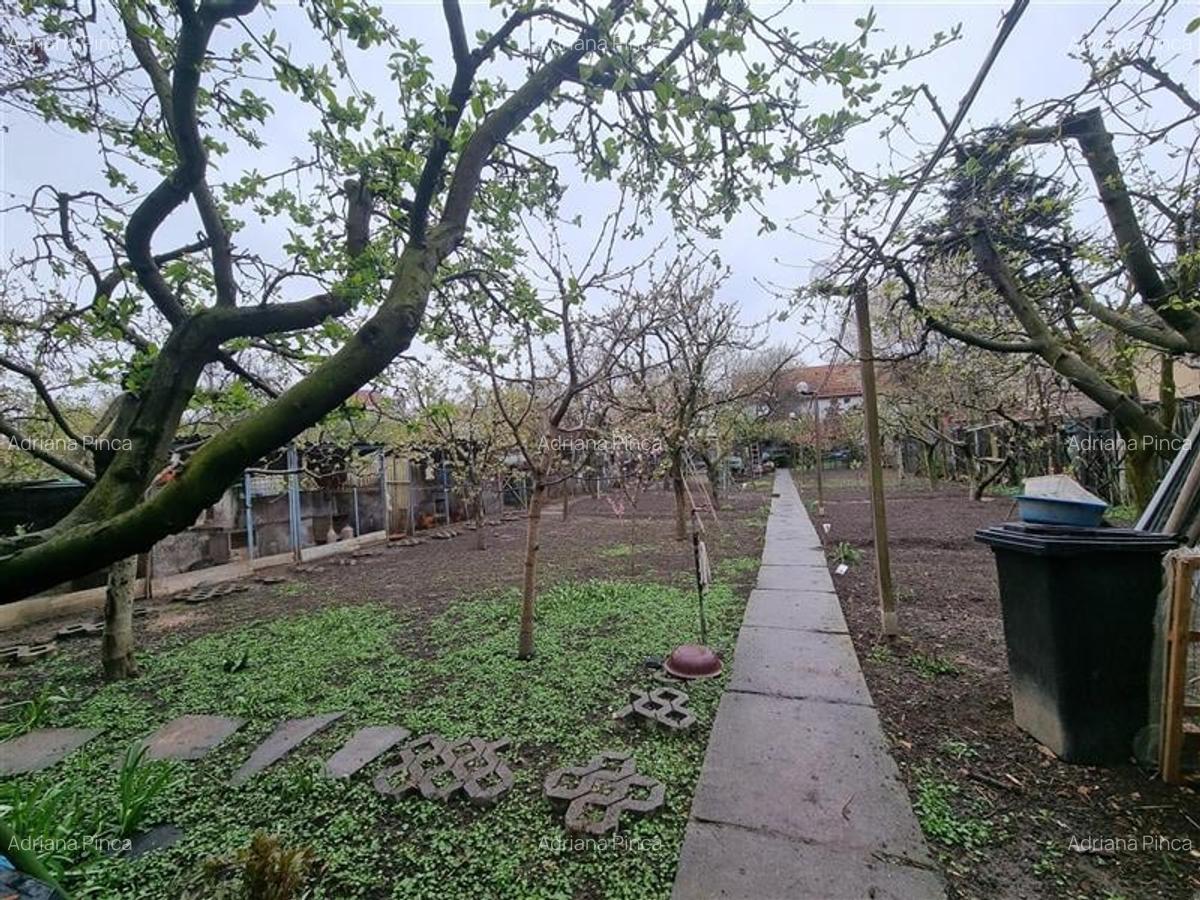 Casa istorica muzeu 4 camere, 2 bai cu 1344 mp teren, ultracentral, Tg Mures - 7