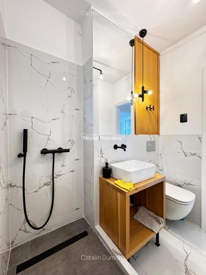 Inchirieri Apartamente 3 Camere Dorobanti - 12