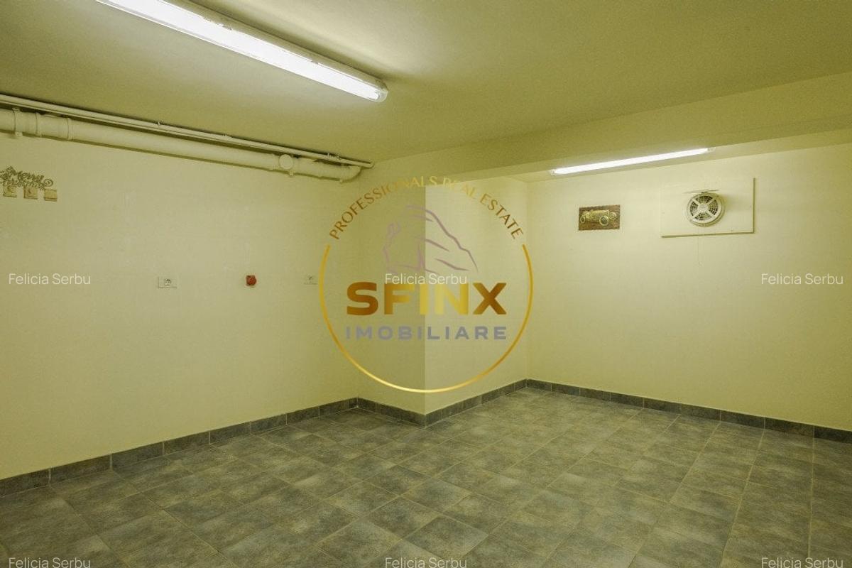 Piata Victoriei - Vila cu gradina proprie, garaj si terasa - 33