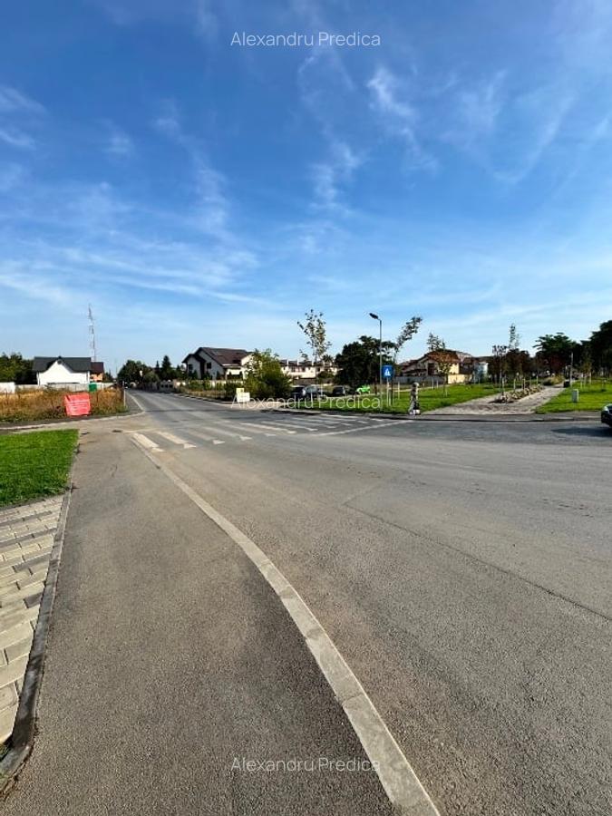 Proprietar închiriez teren cu deschidere către Parcul Ghidiceni - 4