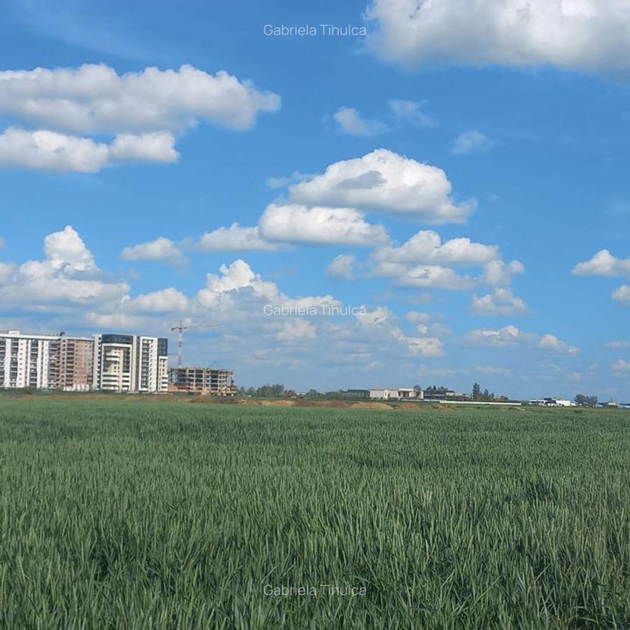 Teren ideal pentru dezvoltare rezidențială 10.000 mp, deschidere 44 m Utilitati - 5