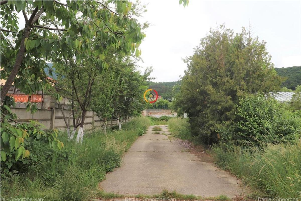 Spațiu comercial, 3725 mp în Central - 10