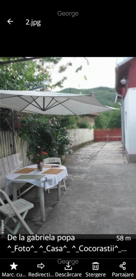 Casa in Cocorastii Caplii, la 8 km de Campina, jud. Prahova - 2