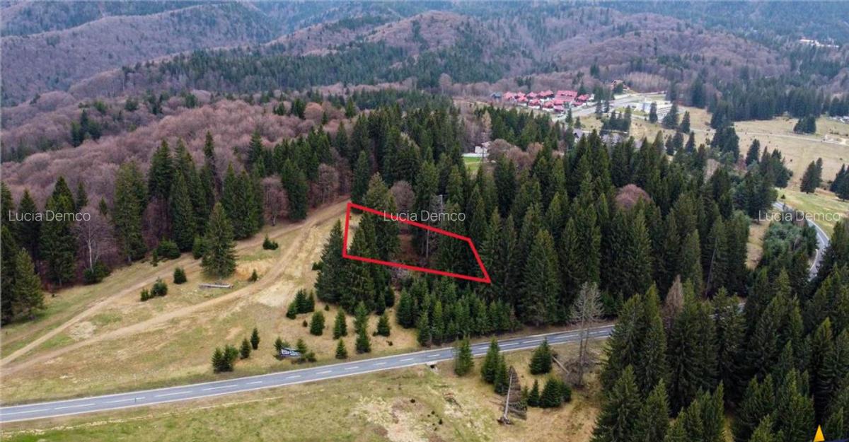 Teren cu potential:1.000 mp,proiect turistic rezidential,Poi - 10