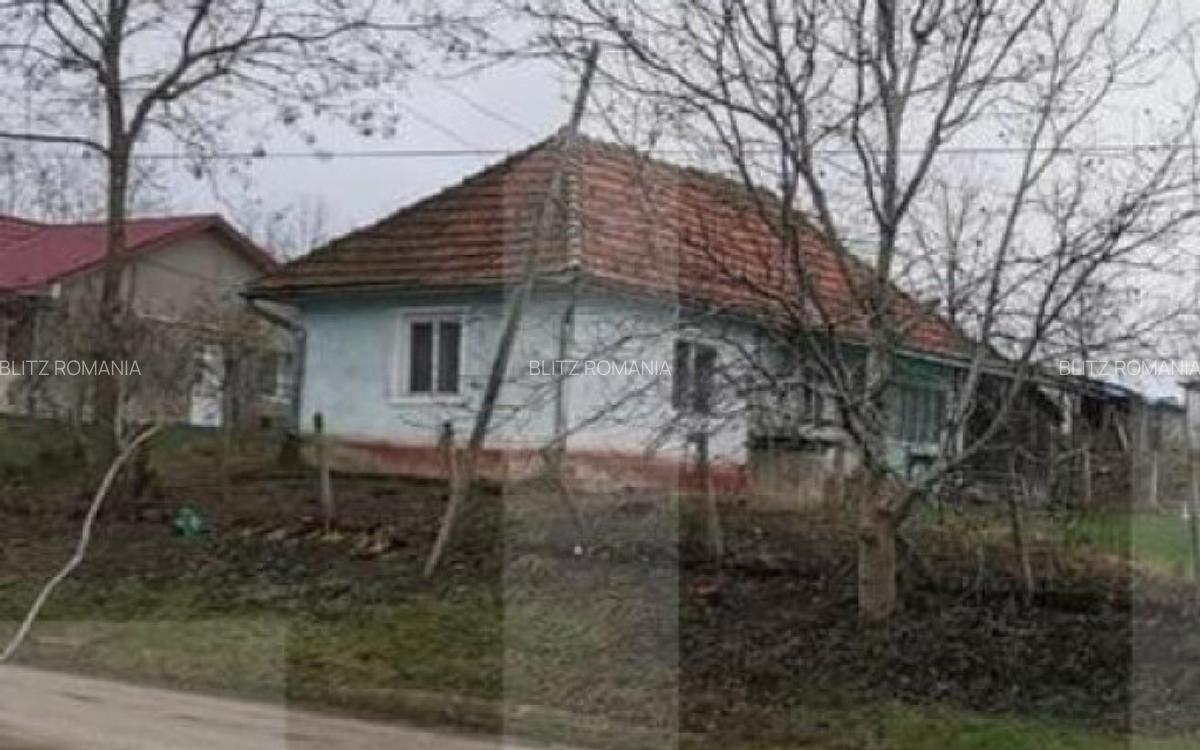 Investitie ! Casa individuala 1 camera, 51 mp, 3000 mp teren - 1 Investitie ! Casa individuala 1 camera, 51 mp, 3000 mp teren - 1