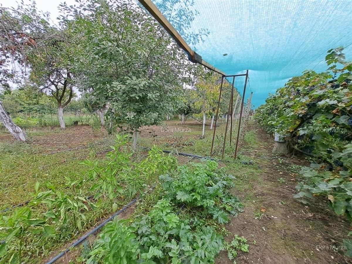 RECO casa Salard - 18