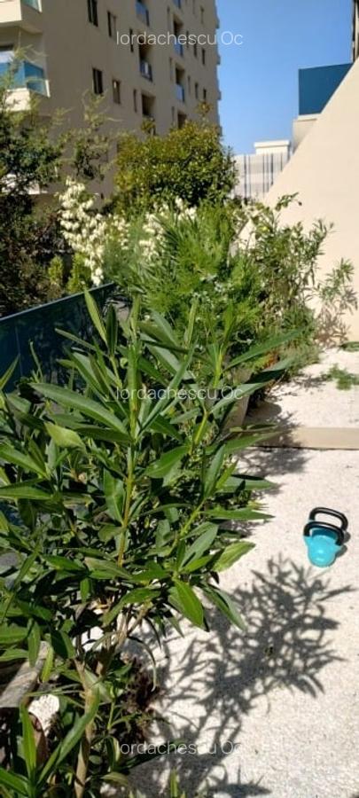 APARTAMENT CU 2 CAMERE DE INCHIRIAT - MAMAIA NORD - 16