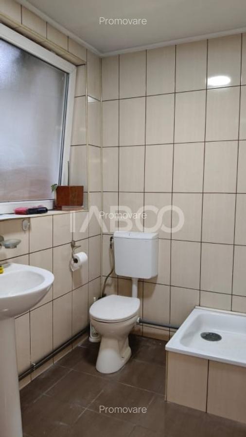 Spatiu industrial de 300 mp de inchiriat in Sebes Alba - 4