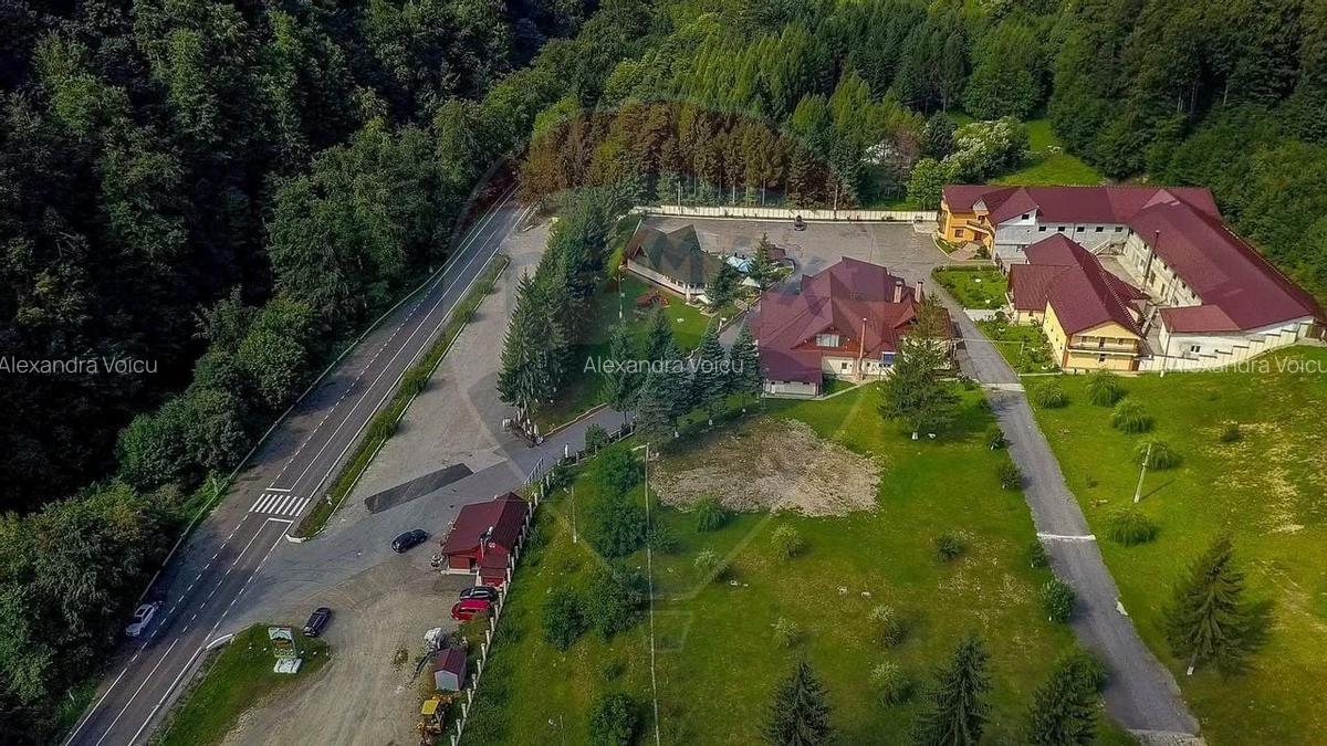 Oportunitate rara in Romania! Complex turistic Poiana Sarata si padure - 17