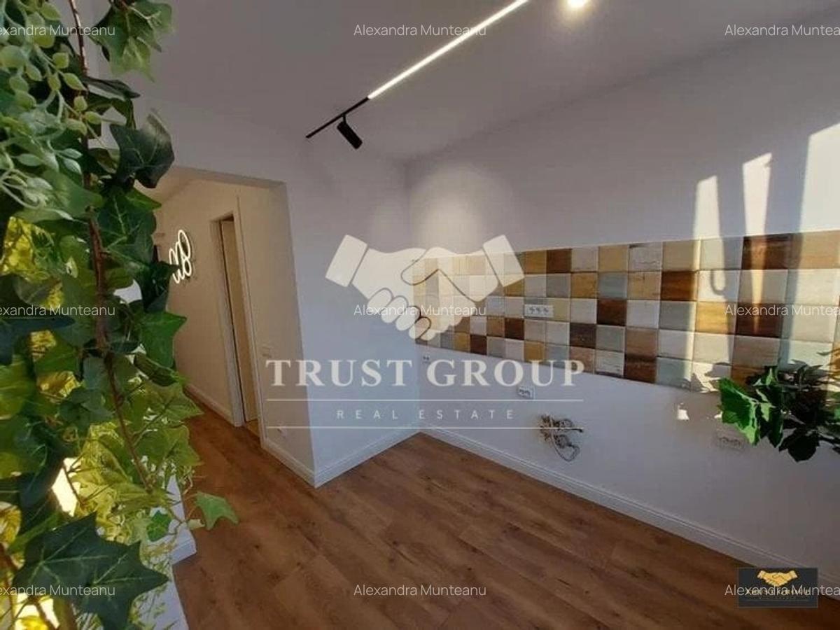 Apartament 2 camere Banu Manta Kiseleff | complet renovat - 7